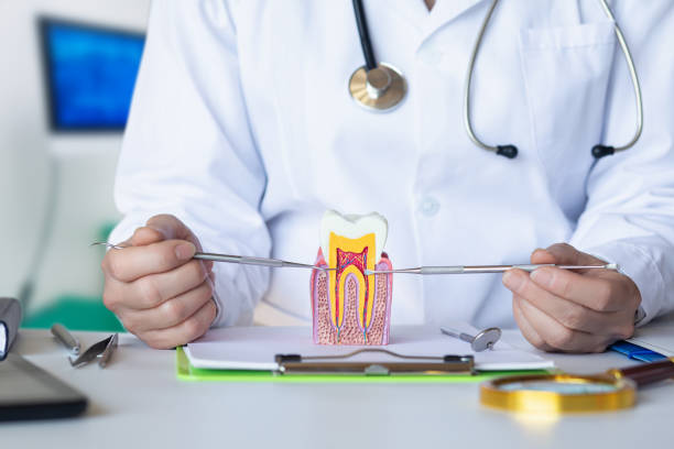 Best Emergency Treatment for Dental Infections or Abscesses in Whitaker, PA